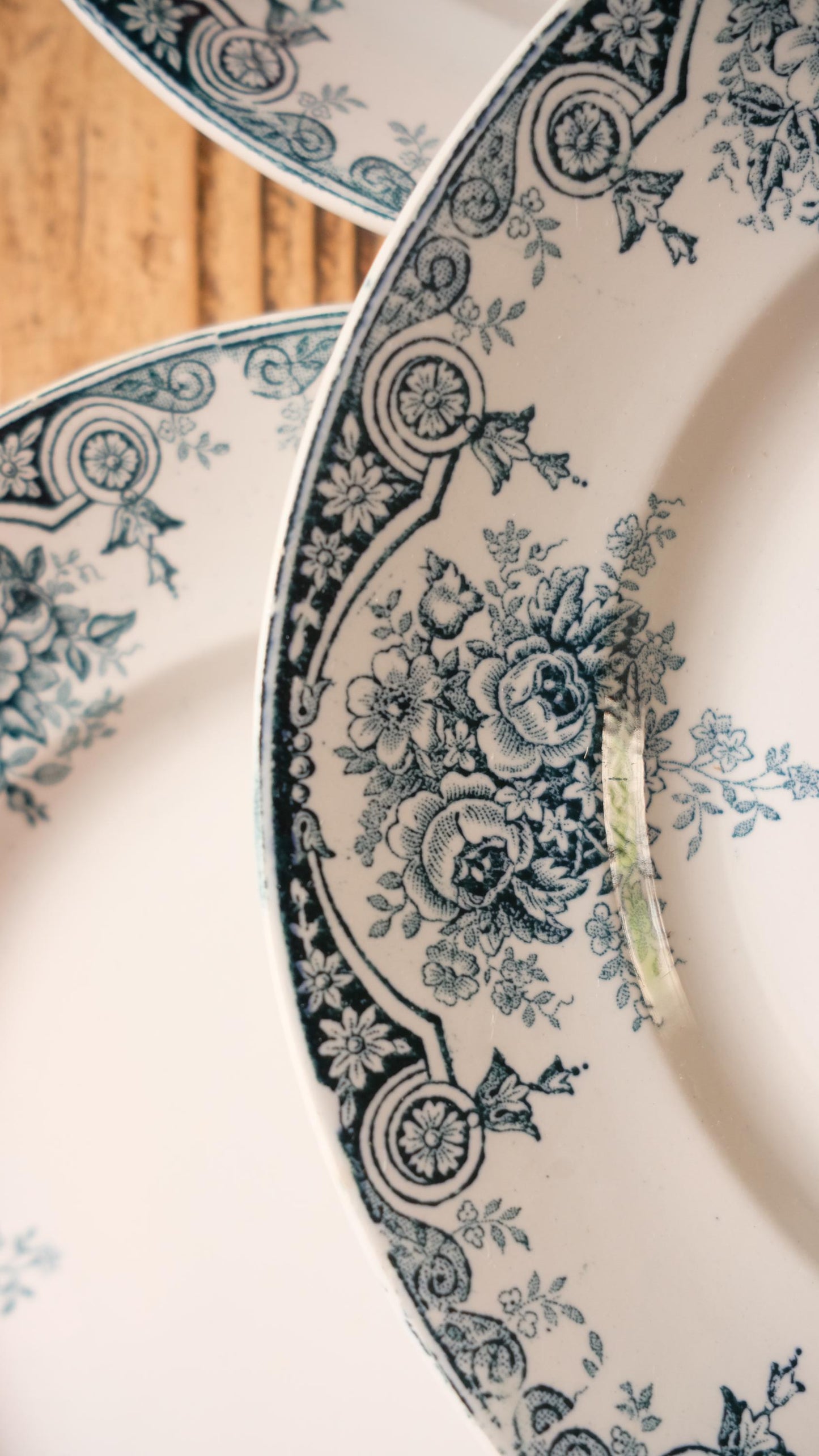 Lot de dix assiettes plates terre de fer l'amandinoise modèle pompadour