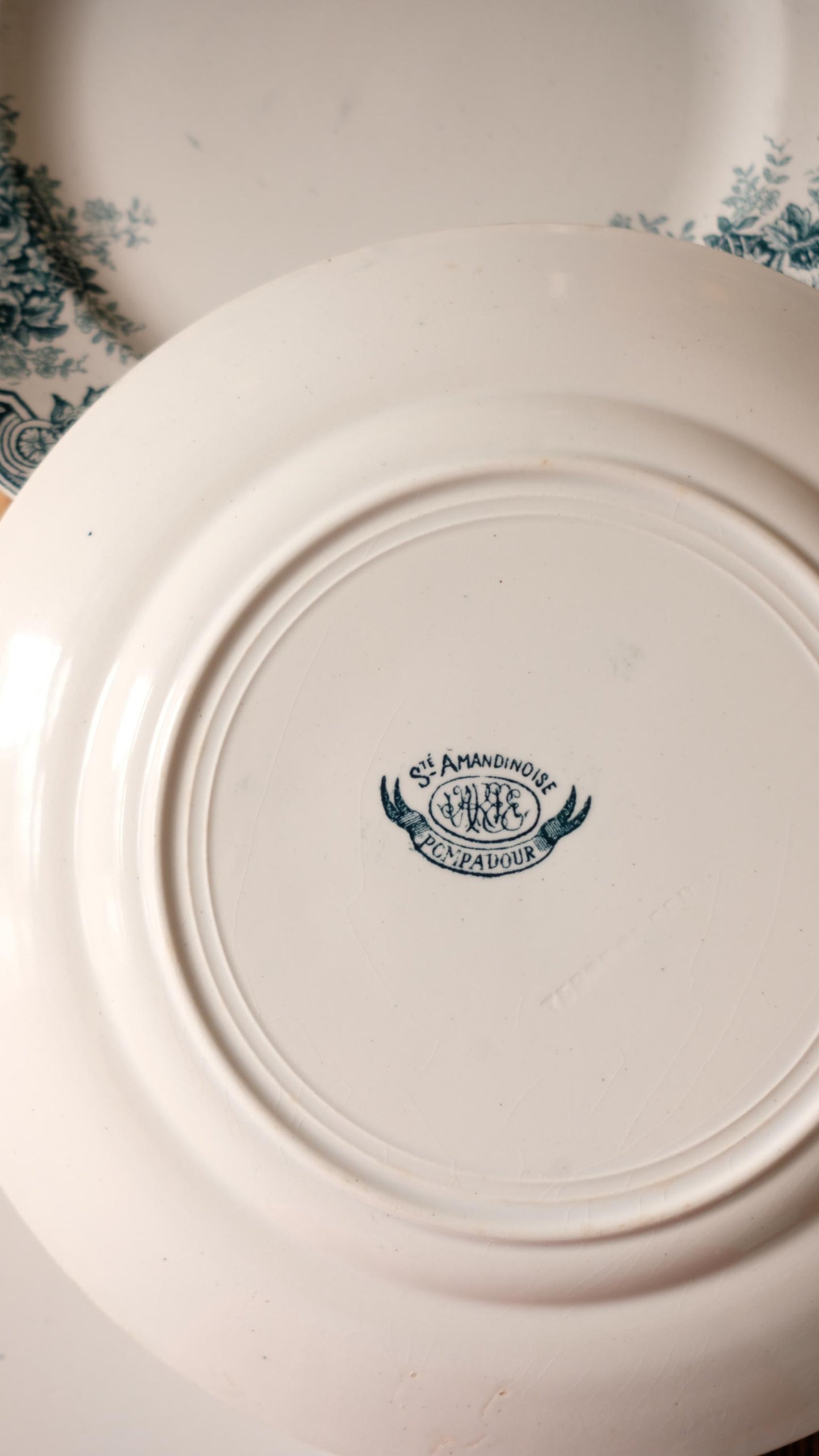 Lot de dix assiettes plates terre de fer l'amandinoise modèle pompadour