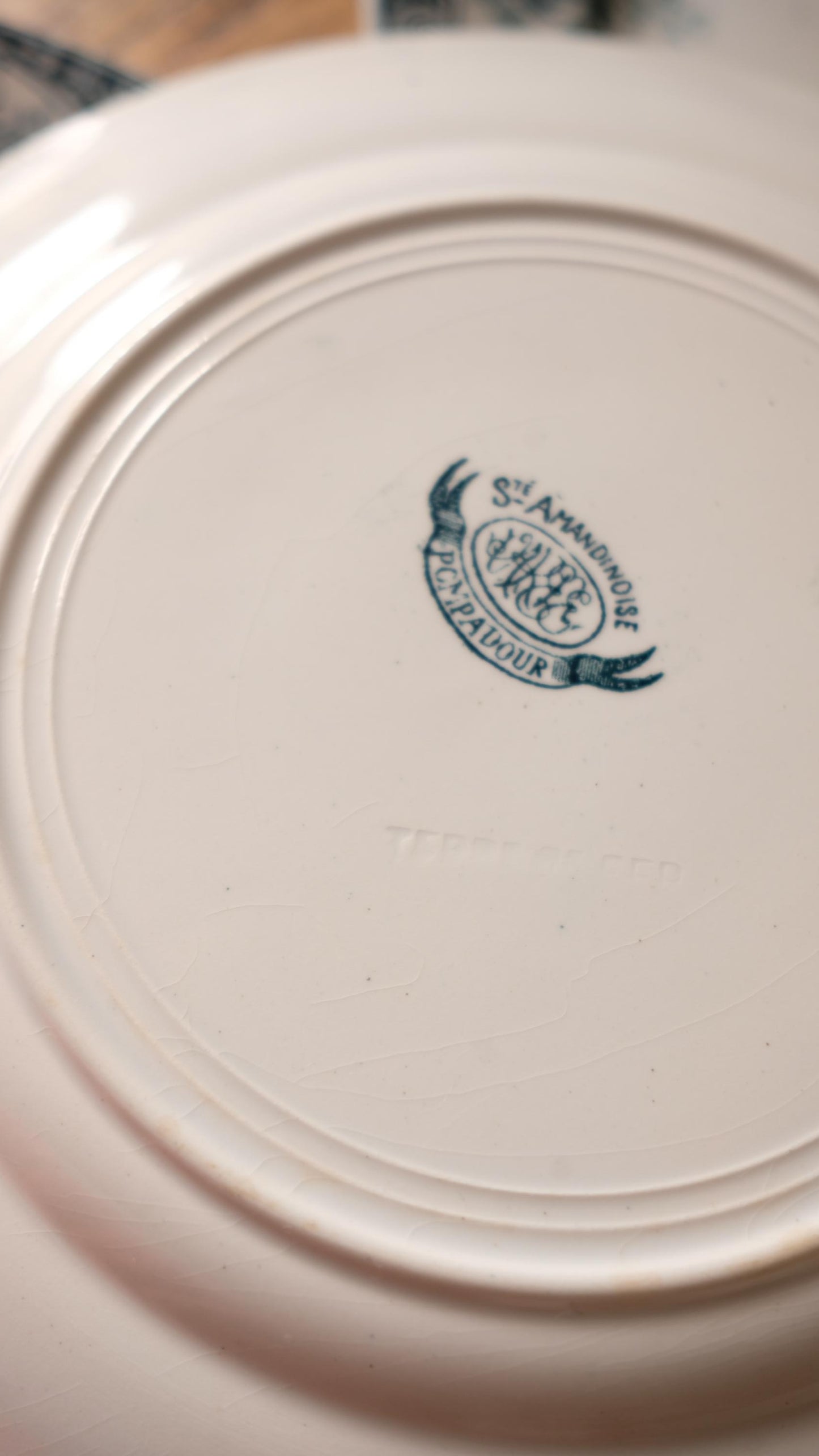 Lot de dix assiettes plates terre de fer l'amandinoise modèle pompadour