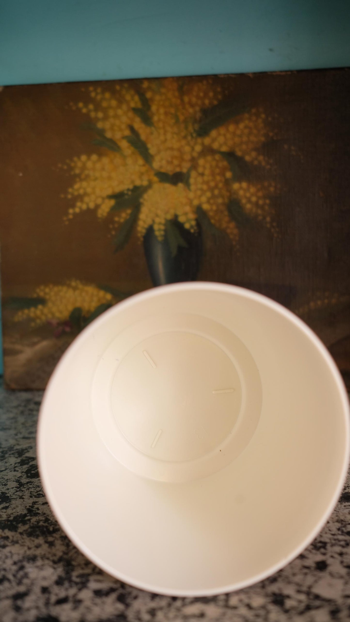 Cache pot emsa vintage en plastique