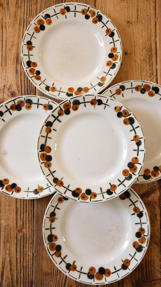 Lot de cinq assiettes vintage Saint Amand terre de fer