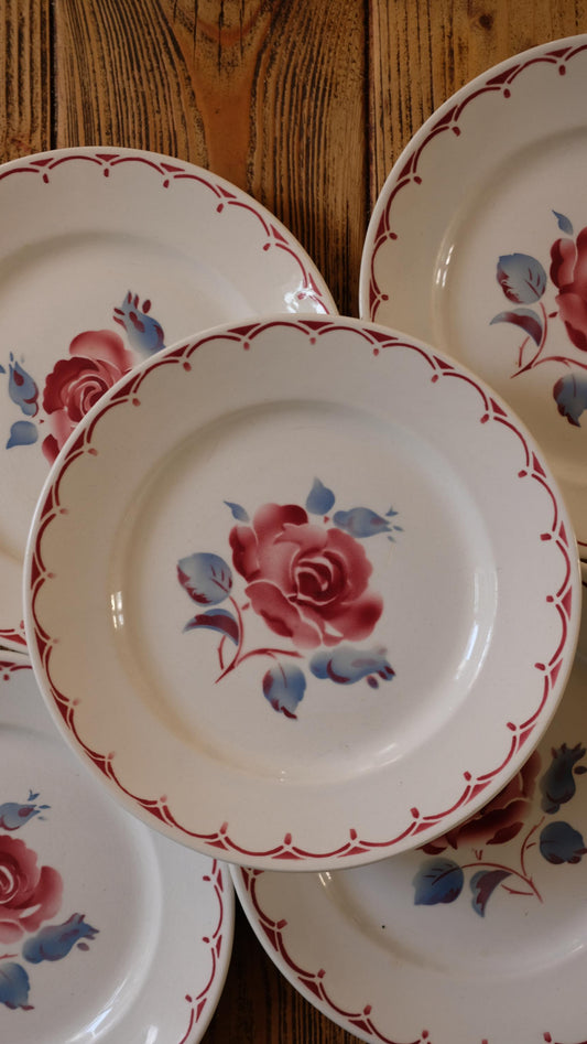 Lot de dix assiettes vintage motif rose