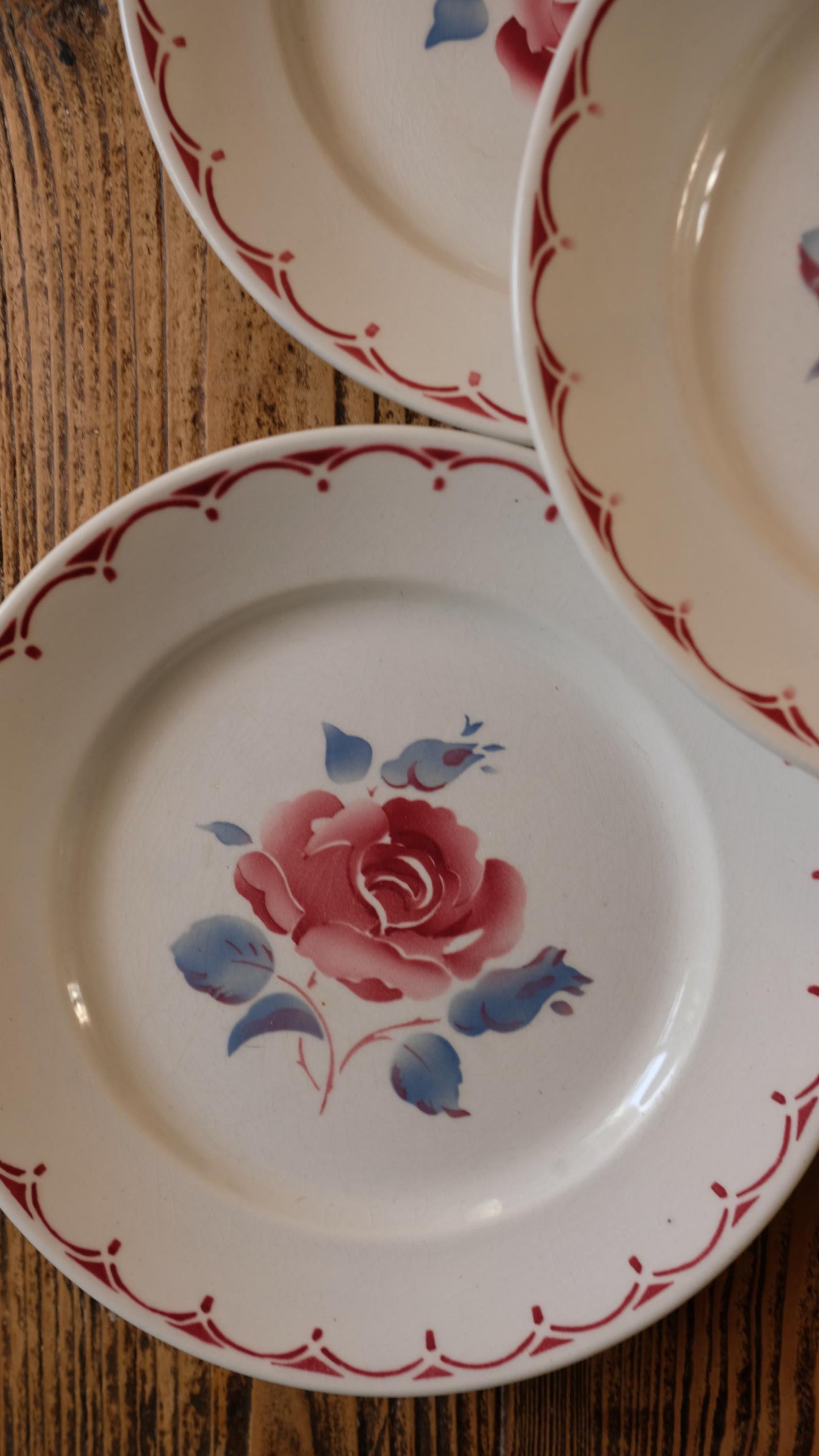Lot de dix assiettes vintage motif rose