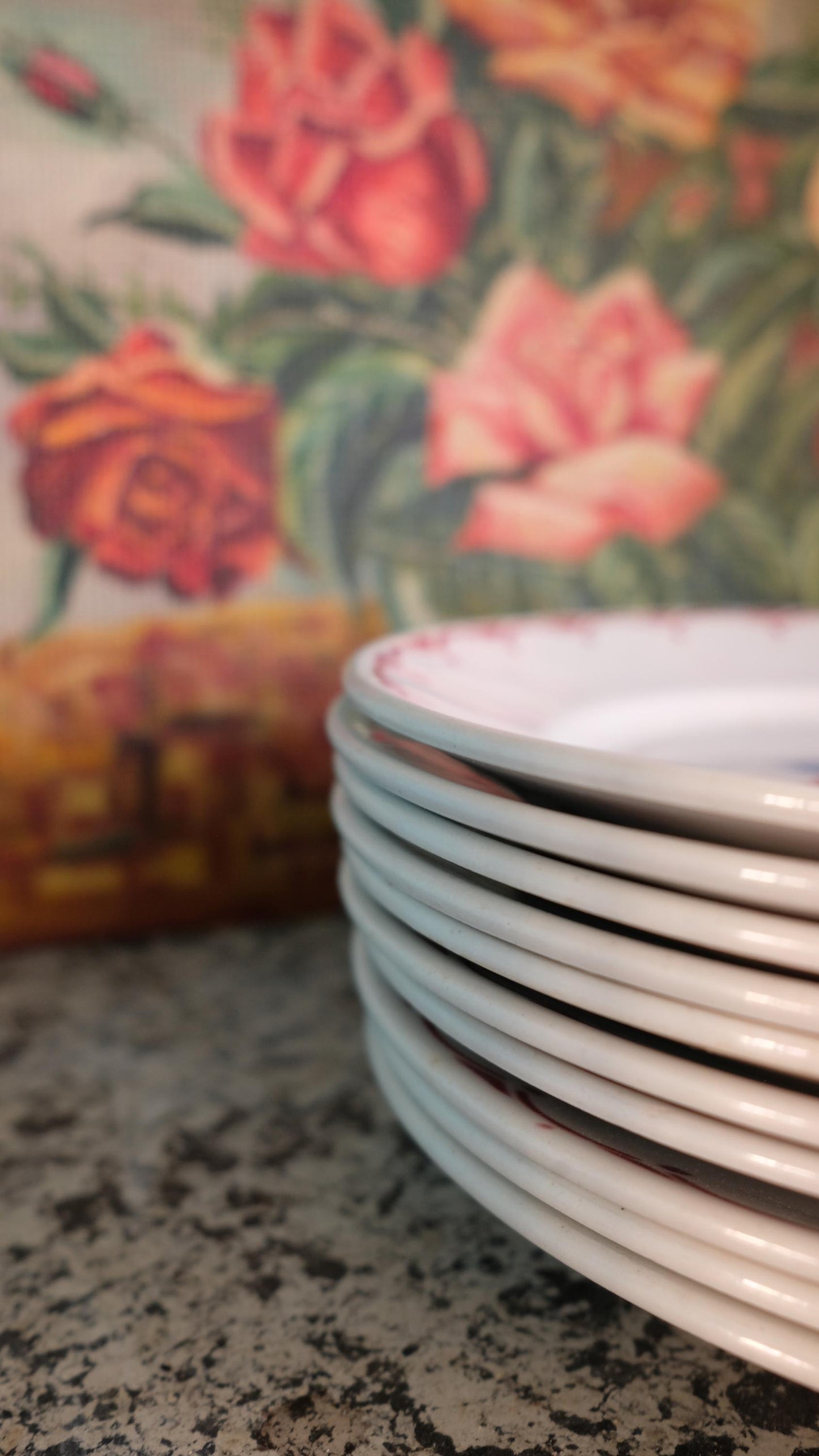 Lot de dix assiettes vintage motif rose