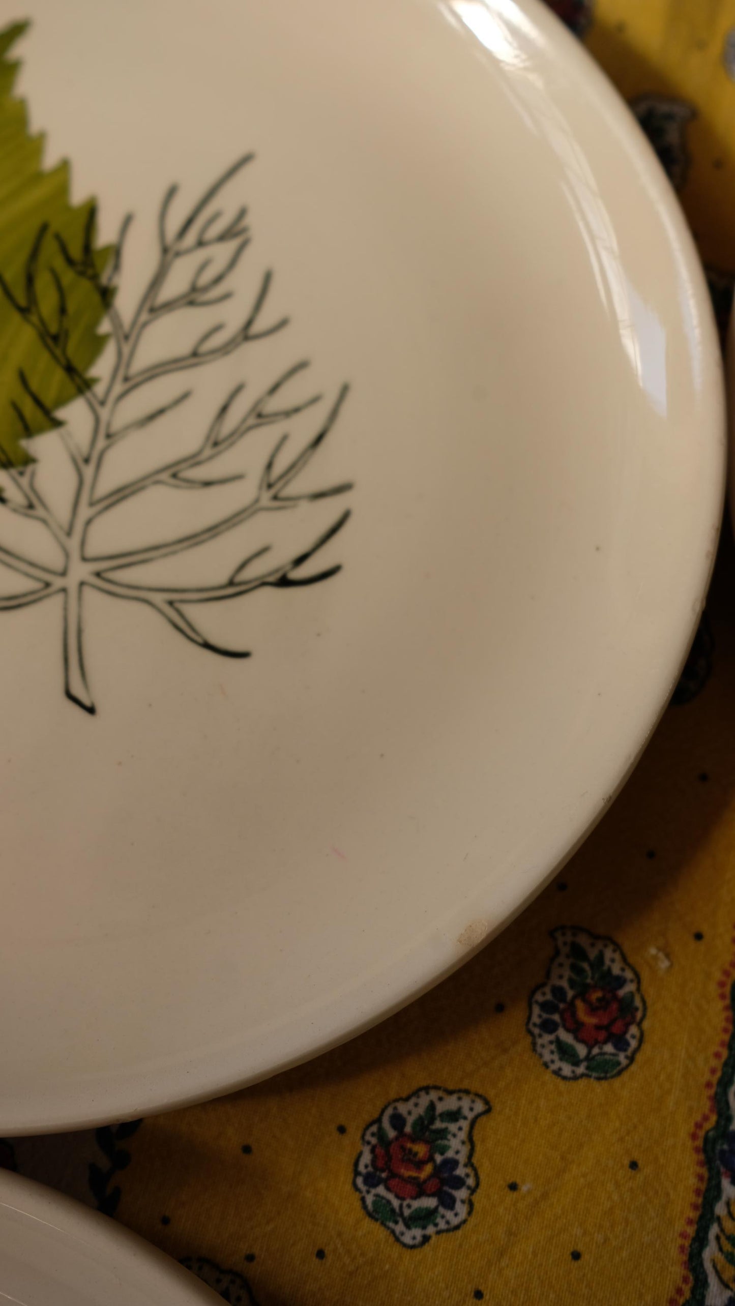 Lot de six assiettes à dessert vintage Niderviller motif botanique